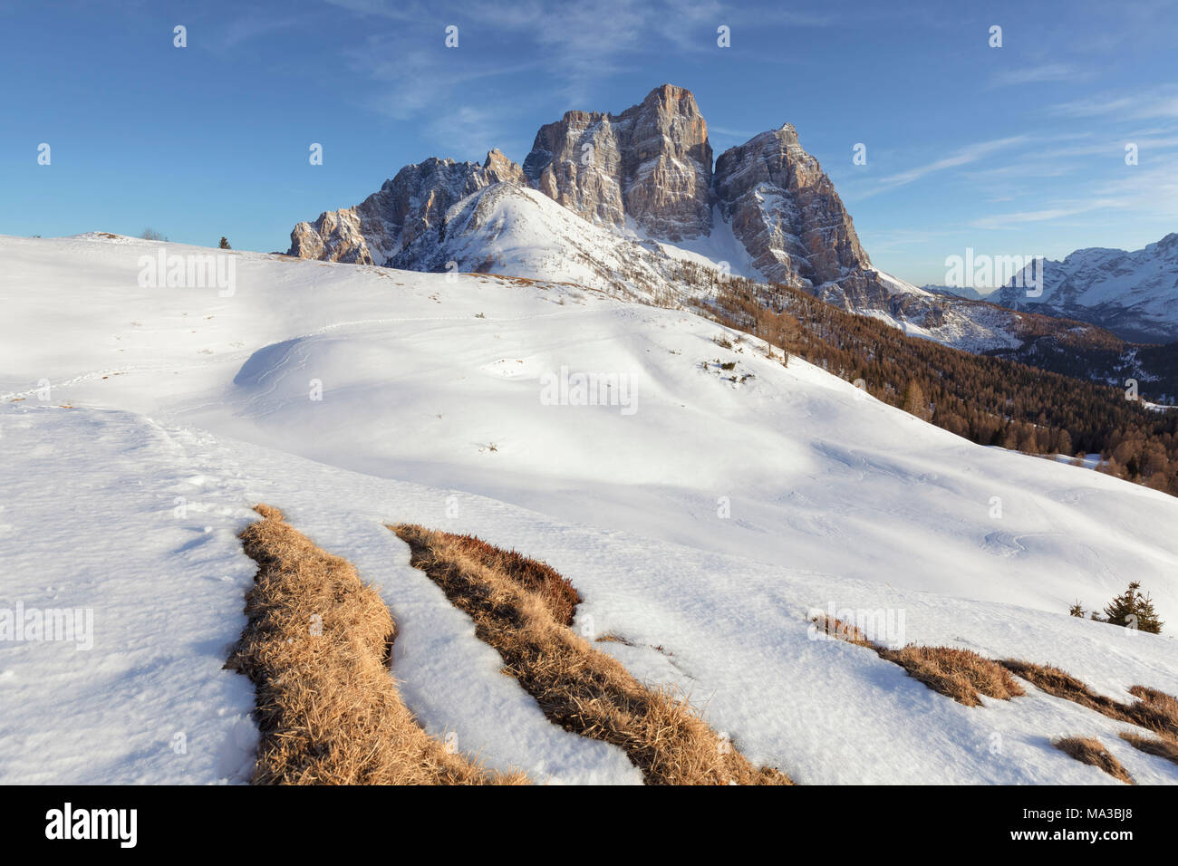 Nord-westlichen Wand der Pelmo von der Alpe Prendera im Winter, Col Roan, Dolomiten, Borca di Cadore, Belluno, Venetien, Italien Stockfoto