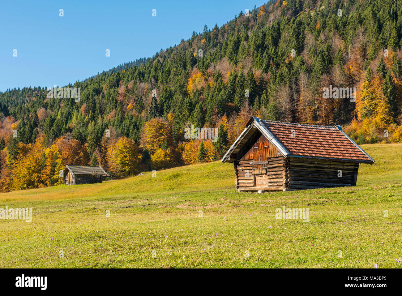 Gerold, Garmisch Partenkirchen, Bayern, Deutschland, Europa. Herbst in Gerold Stockfoto