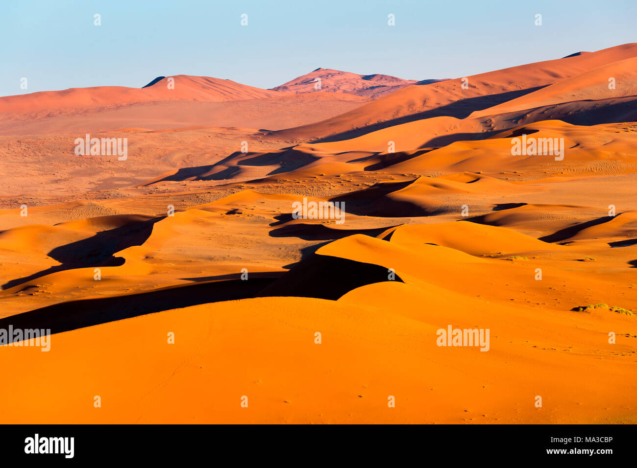 Sossusvlei, Namib Wüste, Dünen während der Goldenen Stunde. Namibia, Afrika Stockfoto