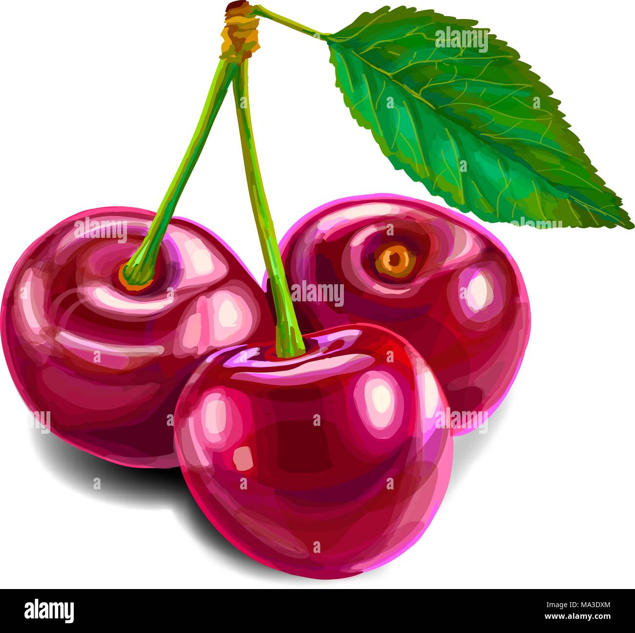 Cherry süße Frucht Stock Vektor