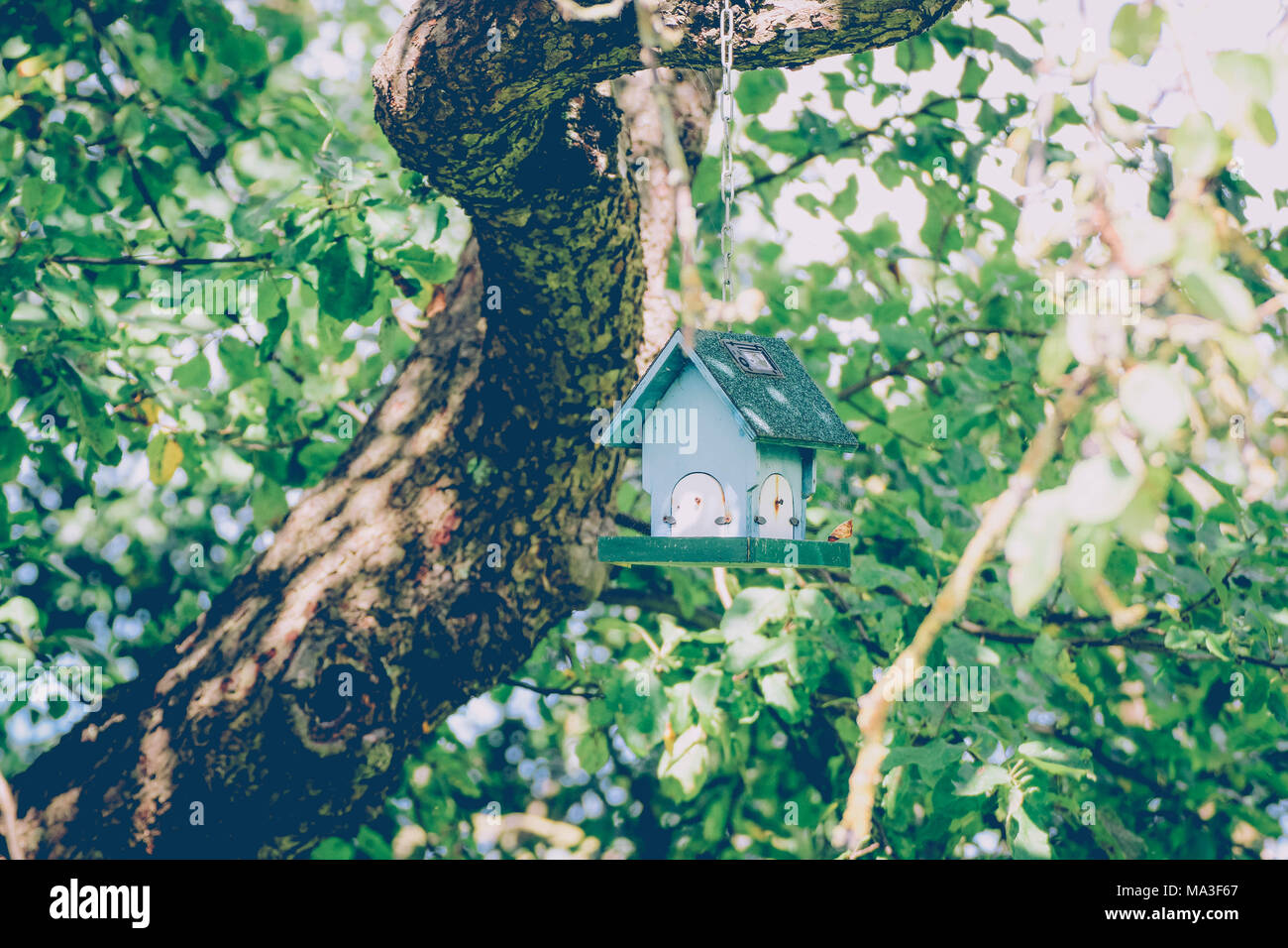 Baum, Vogel Haus Stockfoto