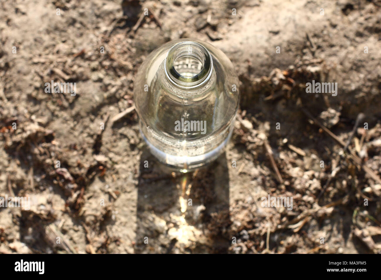 Glas Flasche im Licht Stockfoto