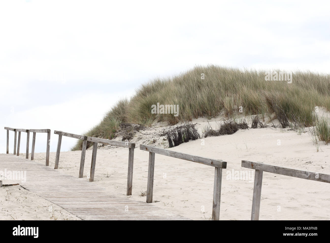 Beplankten Weg entlang der Dünen auf der Insel Juist Stockfoto