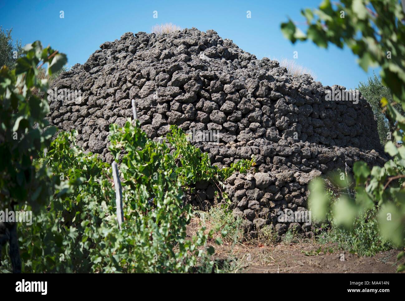Ein Turm aus vulkanischem Gestein an der Pietradolce Weinberg, Sizilien, Italien Stockfoto