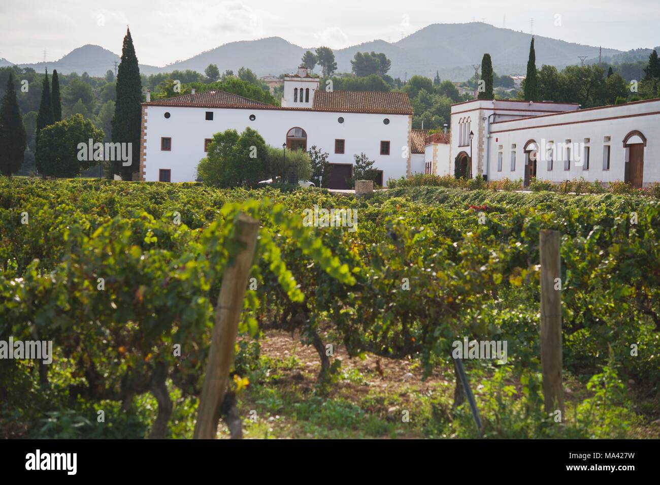 Die Sumarroca Weinkellerei (in El Penedes, Spanien) Stockfoto