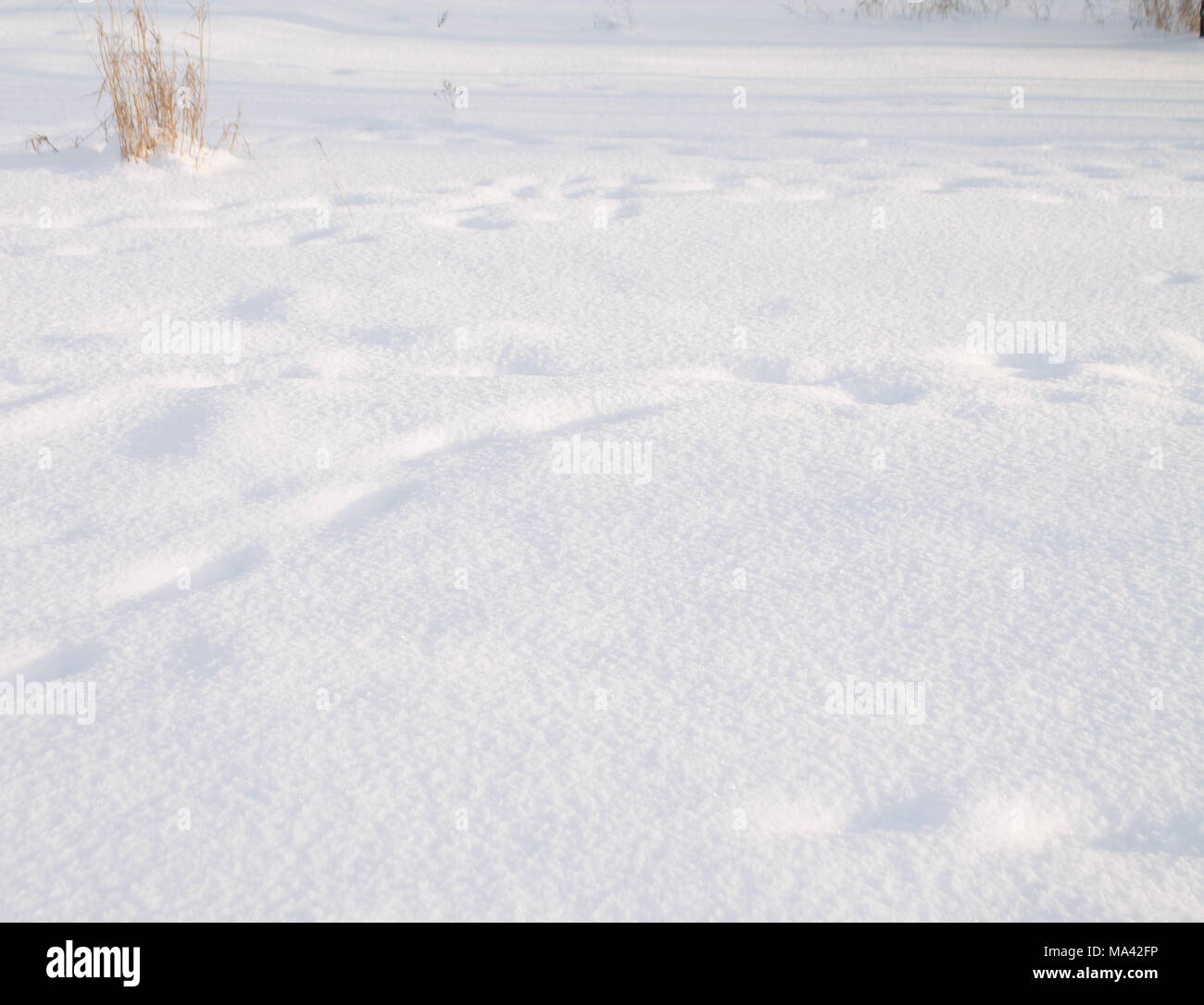 Hintergrund schnee, winter Stockfoto