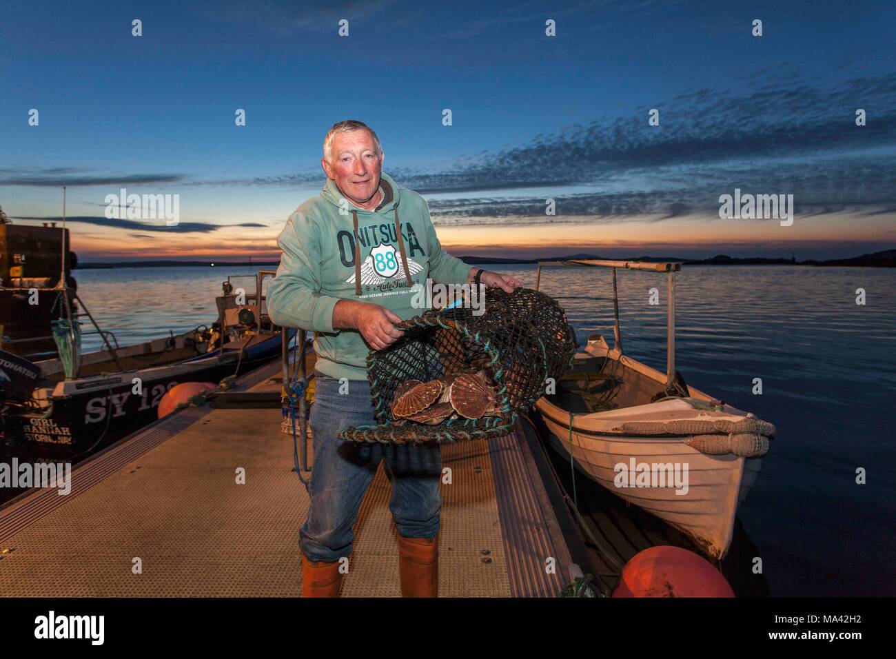 Die fisher Murdo MacAuley mit Jakobsmuscheln in Leverburgh Hafen auf der Insel Harris in Schottland Stockfoto