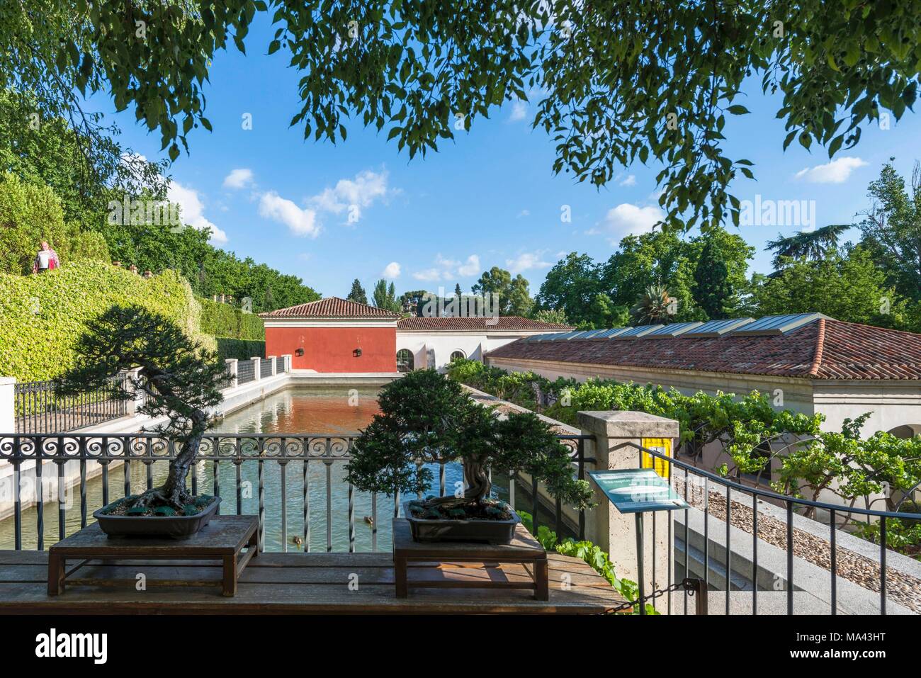 Die Real Jardín Botánico de Madrid botanischen Garten in Madrid, Spanien Stockfoto Die Real Jardín Botánico de Madrid botanischen Garten in Madrid, Spanien Stockfoto