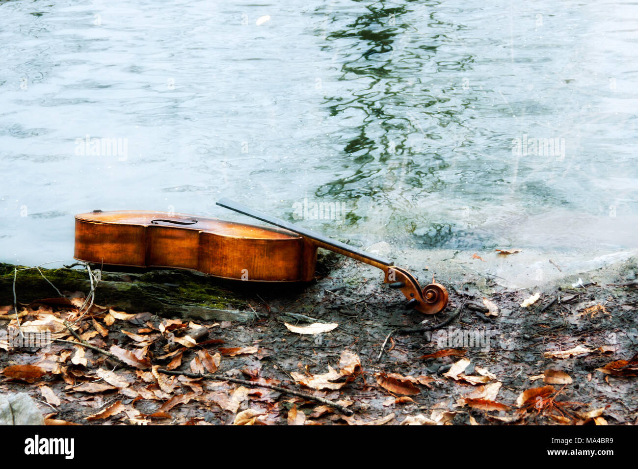 Fotografie eines verlassenen Cello. Stockfoto