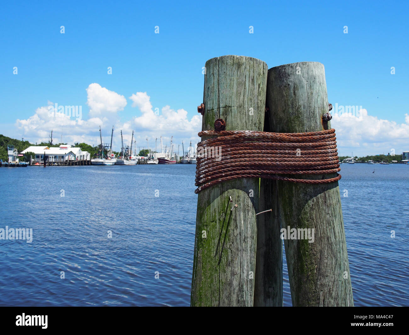 Anzeigen von Matanzas Hafen von Marina auf San Carlos Island, Fort Myers, FL © katharine Andriotis Stockfoto