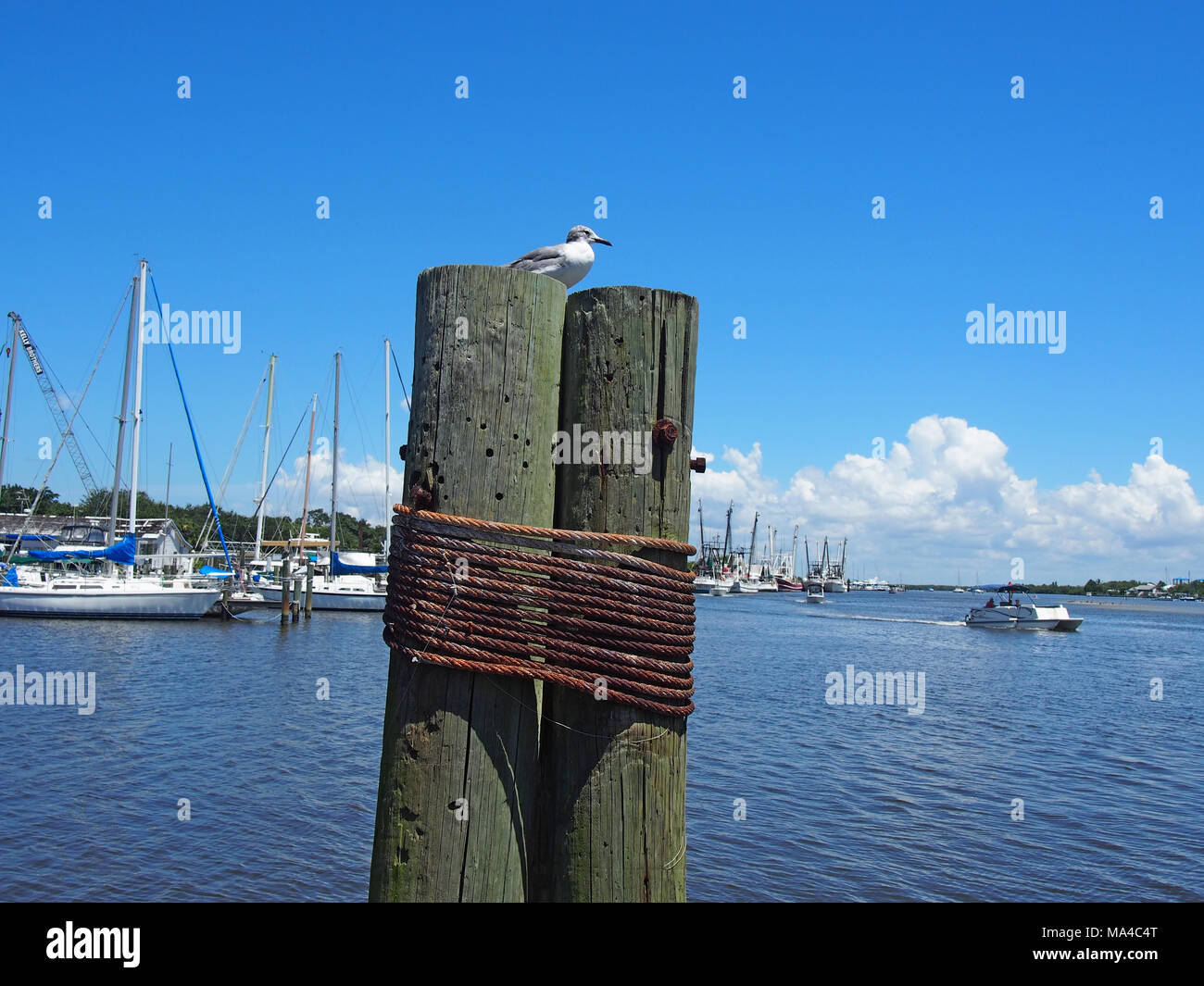 Anzeigen von Matanzas Hafen von Marina auf San Carlos Island, Fort Myers, FL © katharine Andriotis Stockfoto