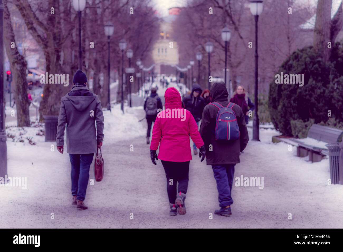 OSLO, Norwegen - 8. MÄRZ 2017: Im Freien von Menschen zu Fuß an Vigeland Park, warme Kleidung tragen auf einer luftigen Wintertag, in Oslo, Norwegen. Stockfoto