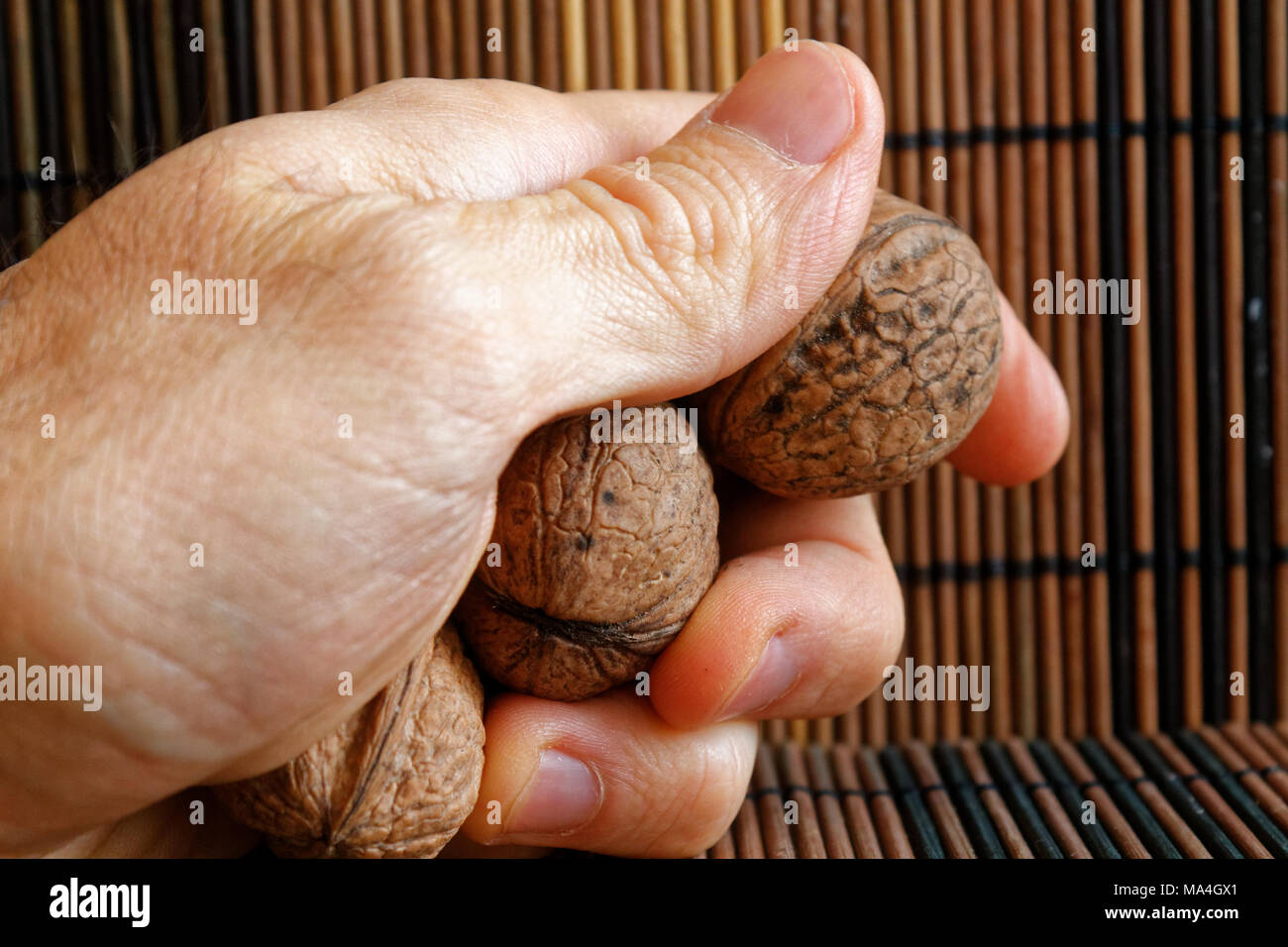 Nussbaum in Hand und Hintergrund für die Webseiten oder mobilen Geräten Stockfoto