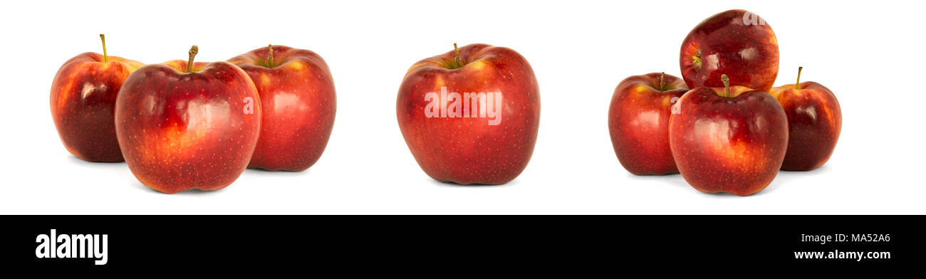 Vielzahl von reifen roten Äpfel Malus Domestica 'Jonagold' weißen Hintergrund isolieren. Beschaffung Unter der Inschrift und Illustration Stockfoto