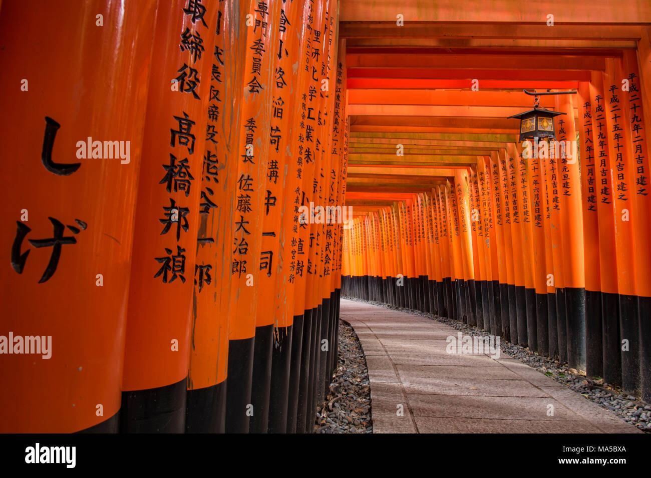 Asien, Japan, Nihon, Nippon, Kyoto, senbon Torii Fushimi Inari Taisha Shrine Stockfoto