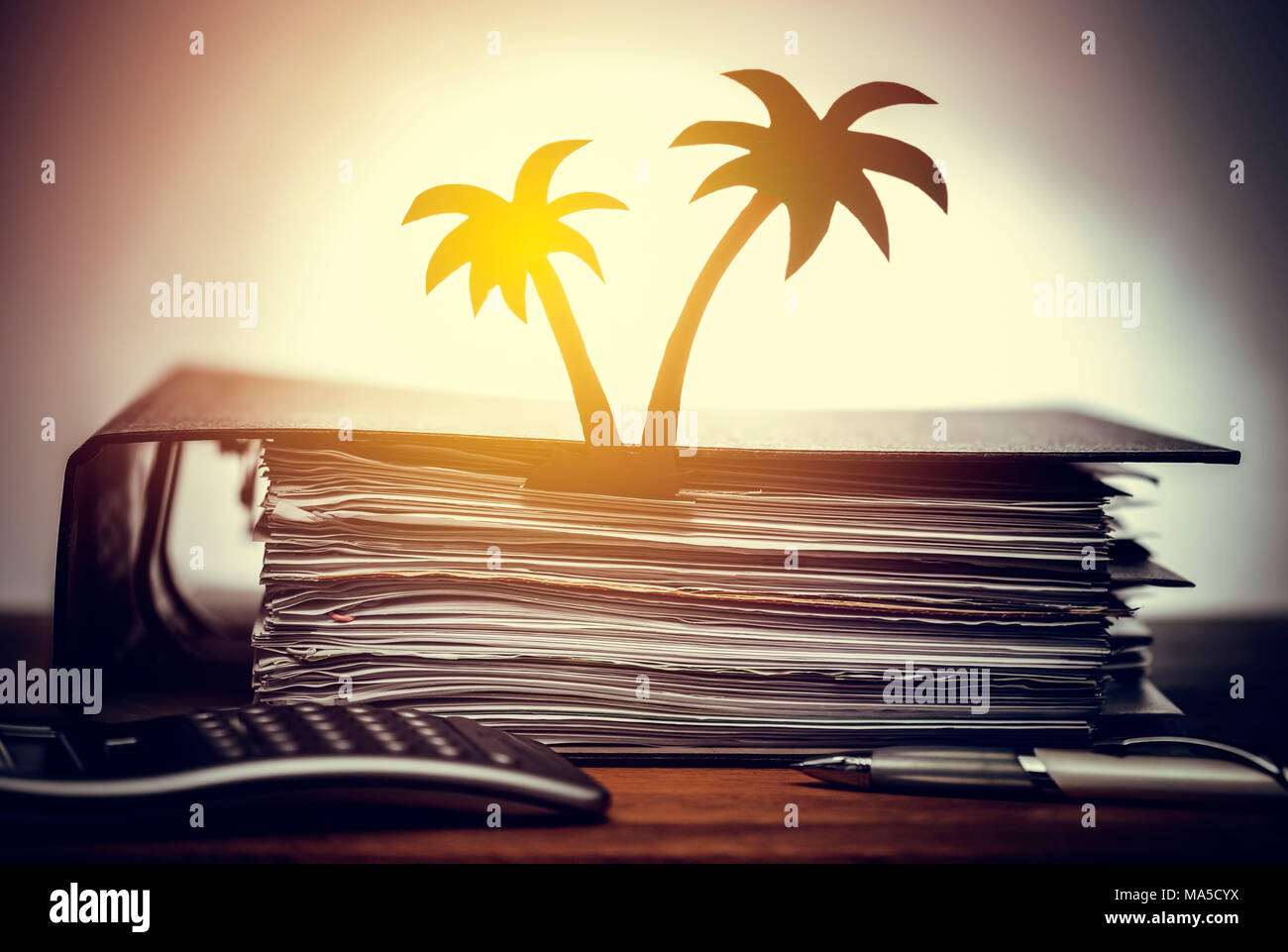 Datei Ordner mit Papier Palm, Symbol Paradies Papiere Stockfoto