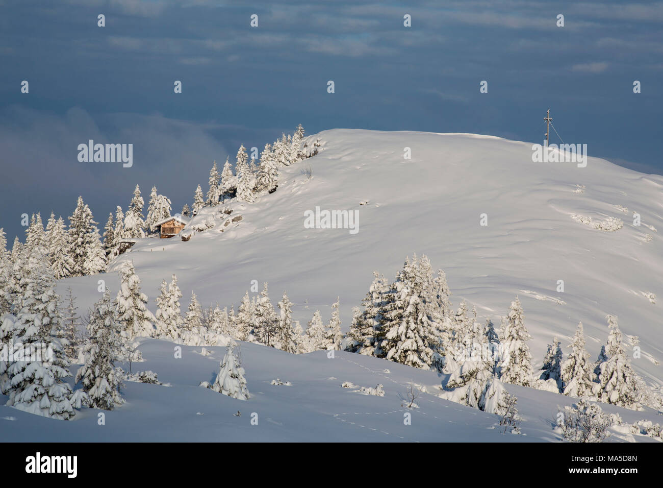 Morgenstimmung am Hirschberg (Berg) im Winter, Bayerische Alpen, Bayern, Deutschland. Stockfoto