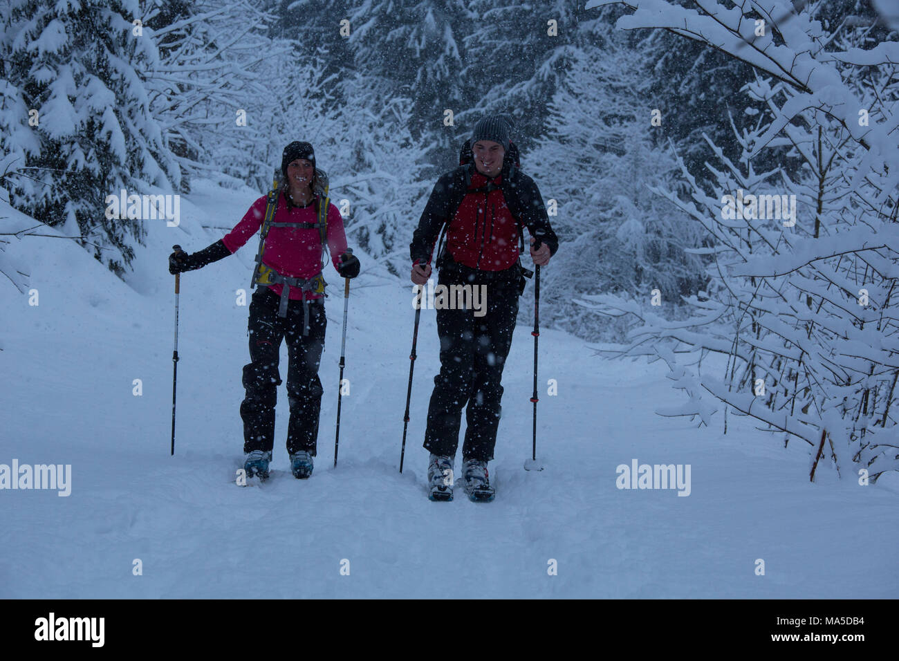 Skitourengeher beim Klettern die Lenggrieser Hütte (Hütte) im Winter, Lenggries, Bayerischen Voralpen, Bayern, Deutschland Stockfoto