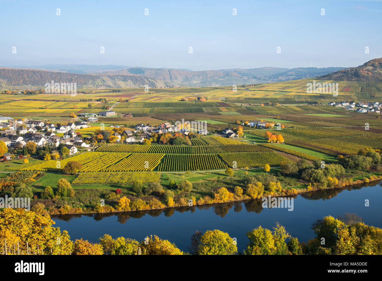Landschaft Foto von der Mosel in der Nähe Thörnich bei schönem Wetter im Herbst Stockfoto