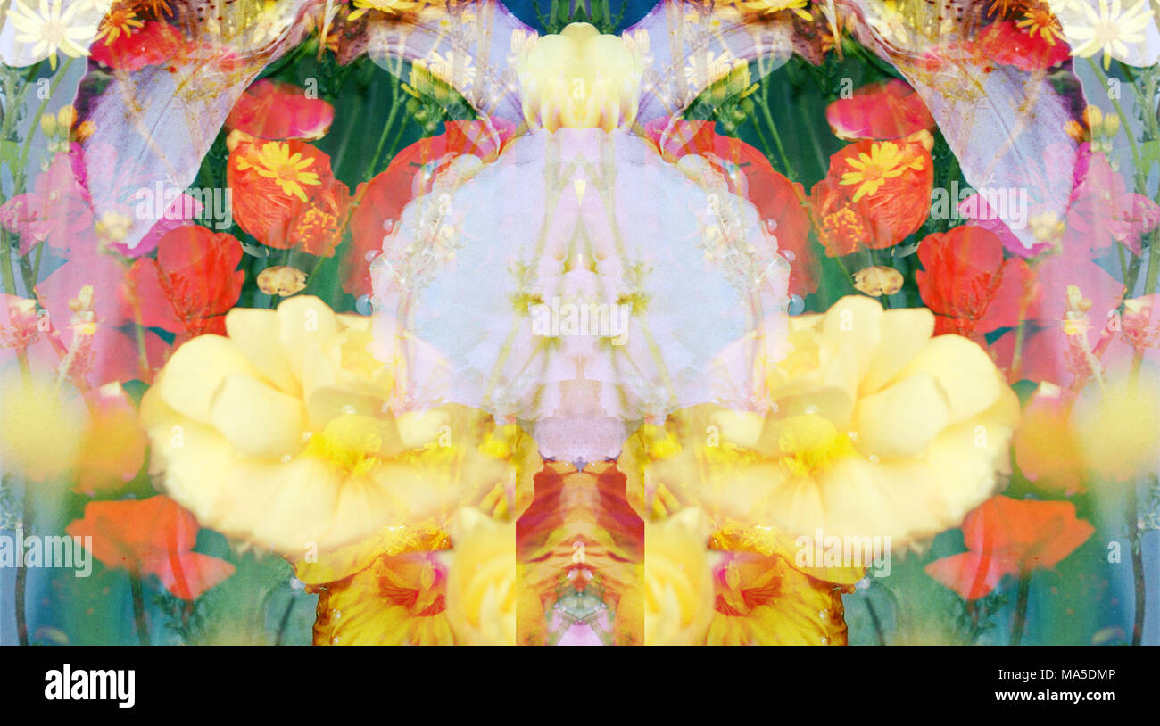 Fotografische blumen Ornament, Stockfoto