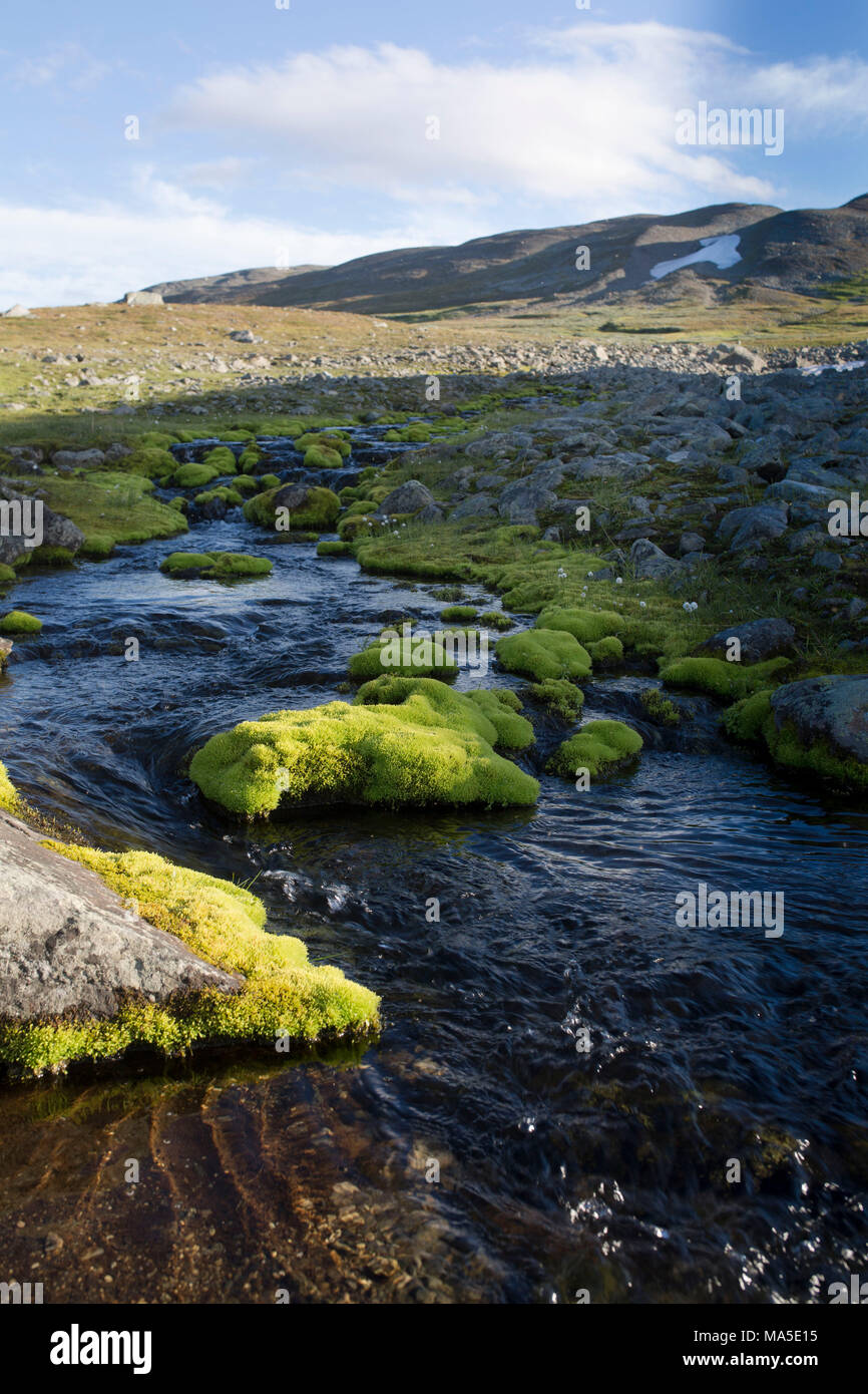 Bach im Sarek Nationalpark, Schweden Stockfoto