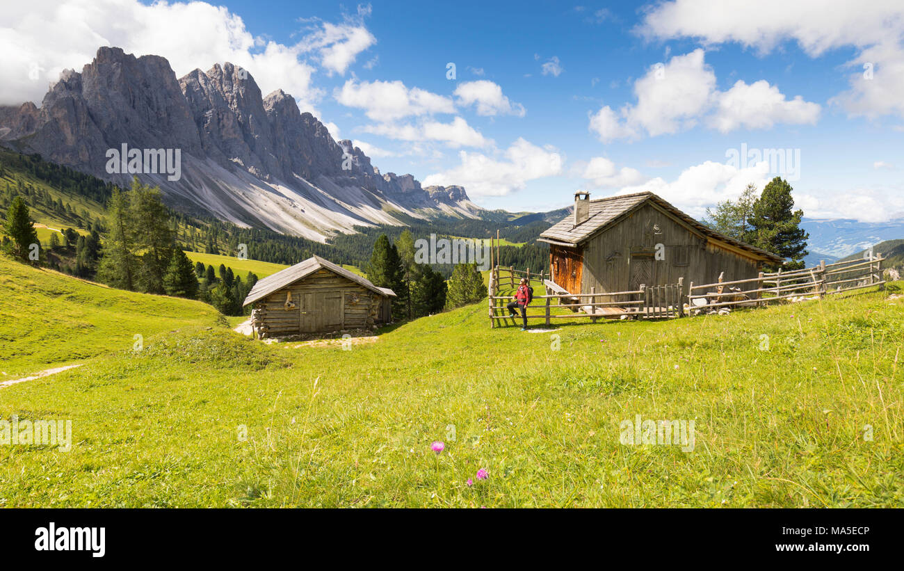Ein Blick auf die Alm im Villnössertal Kaserill mit zwei alten Hütten und die Geisler im Hintergrund, Provinz Bozen, Südtirol, Trentino Alto Adige, Italien Stockfoto