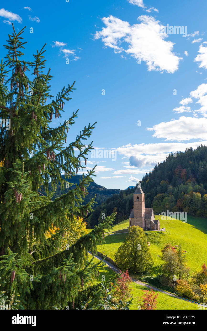 Hafling, Provinz Bozen, Trentino-Südtirol, Italien Stockfoto