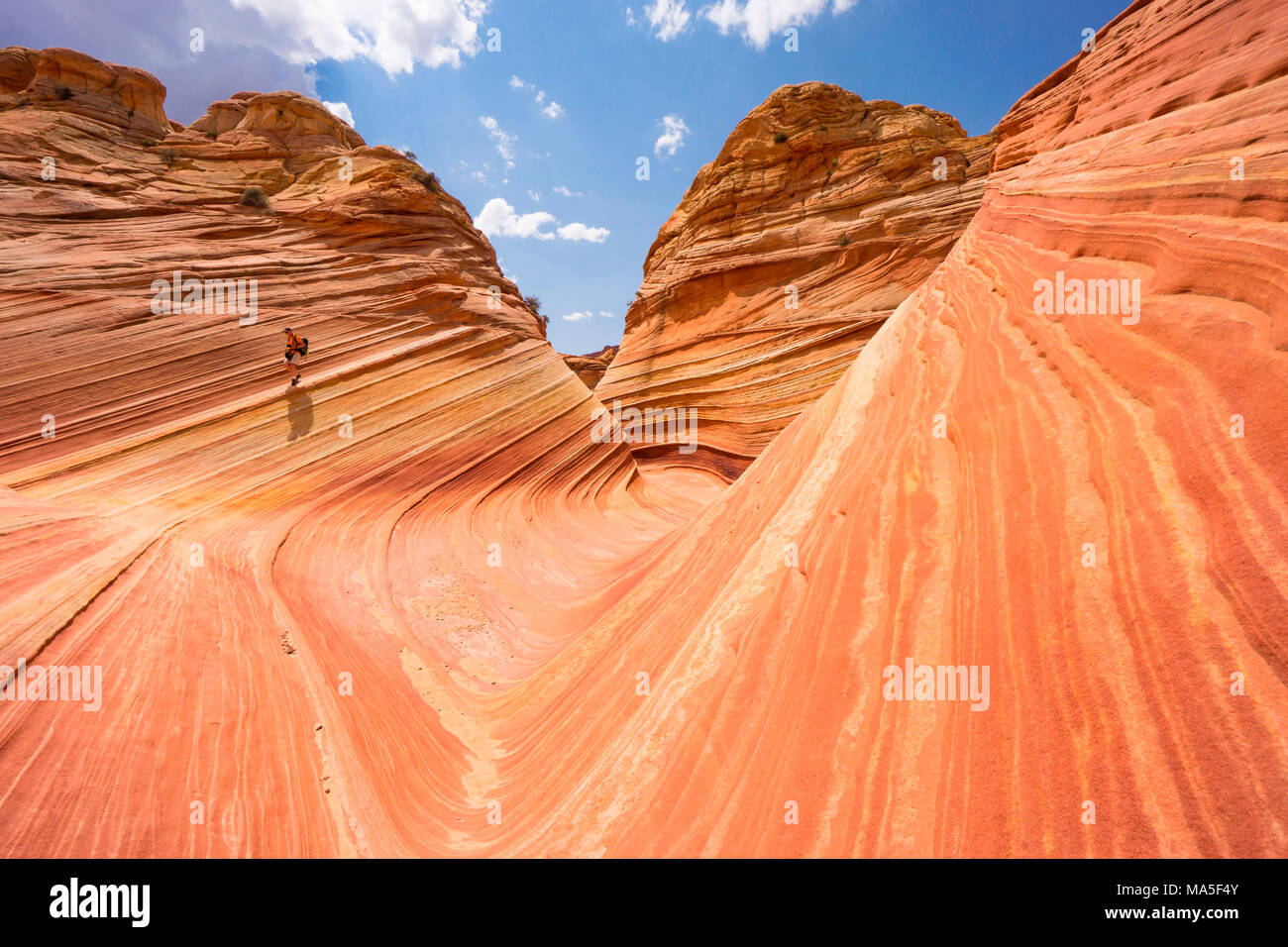 Wandern am Wave, Coyote Buttes North, Colorado Plateau, Arizona, USA Stockfoto