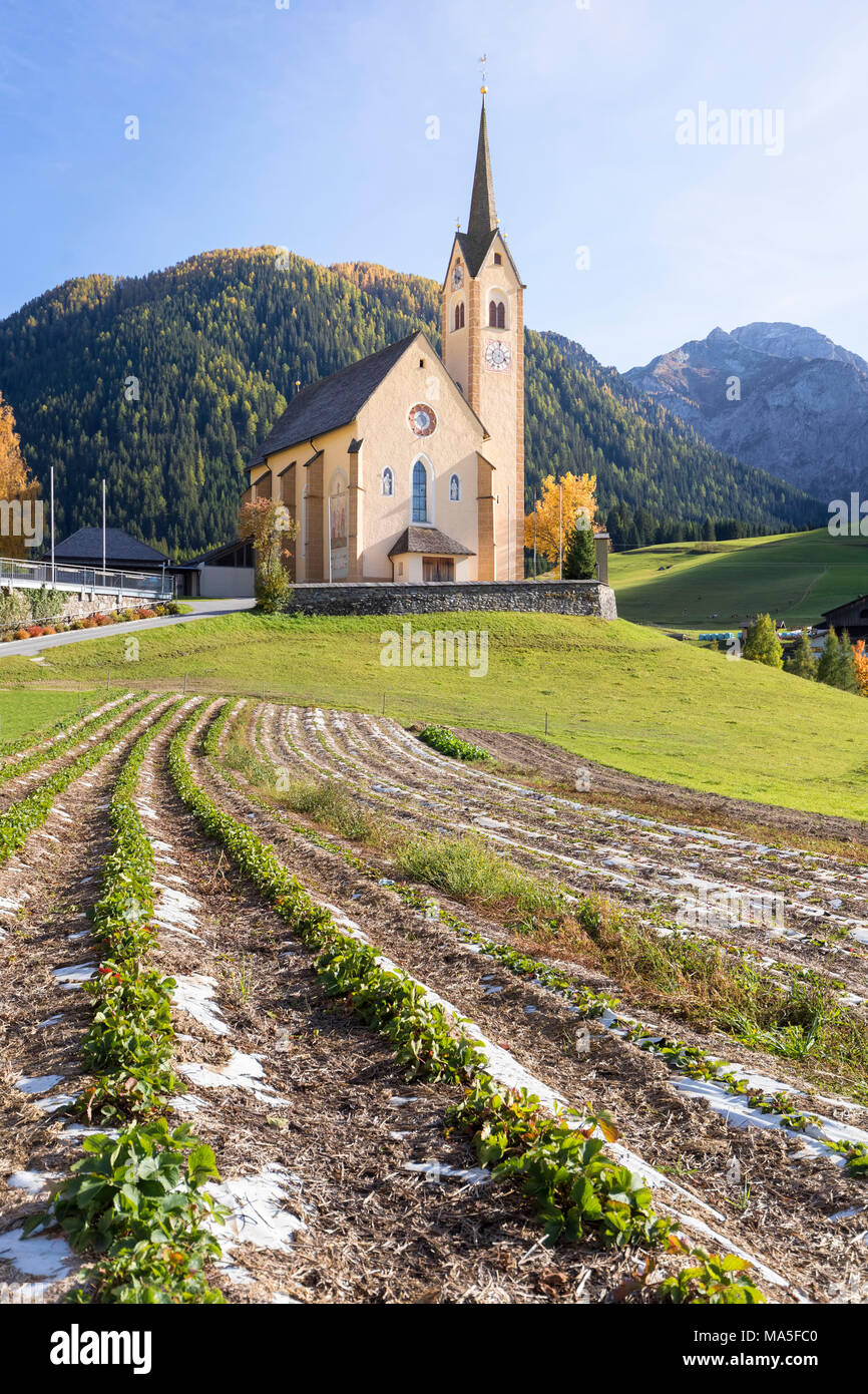 Die Pfarrkirche von Kartitsch im Gailtal, Bezirk Lienz, Tirol, Österreich Stockfoto