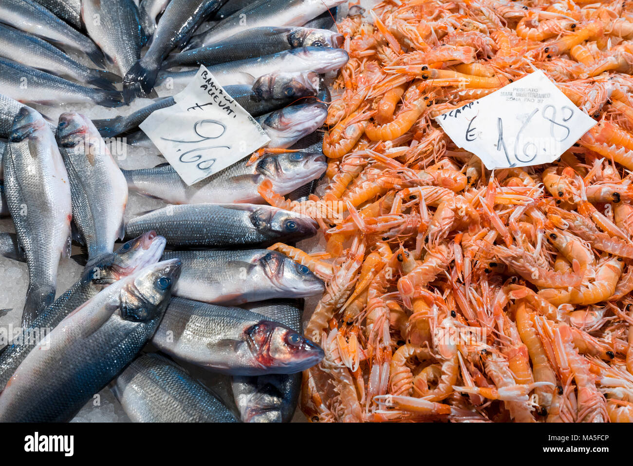Fisch zum Verkauf auf dem Fischmarkt in der Nähe von Rialto, Venedig, Venetien Italien Stockfoto