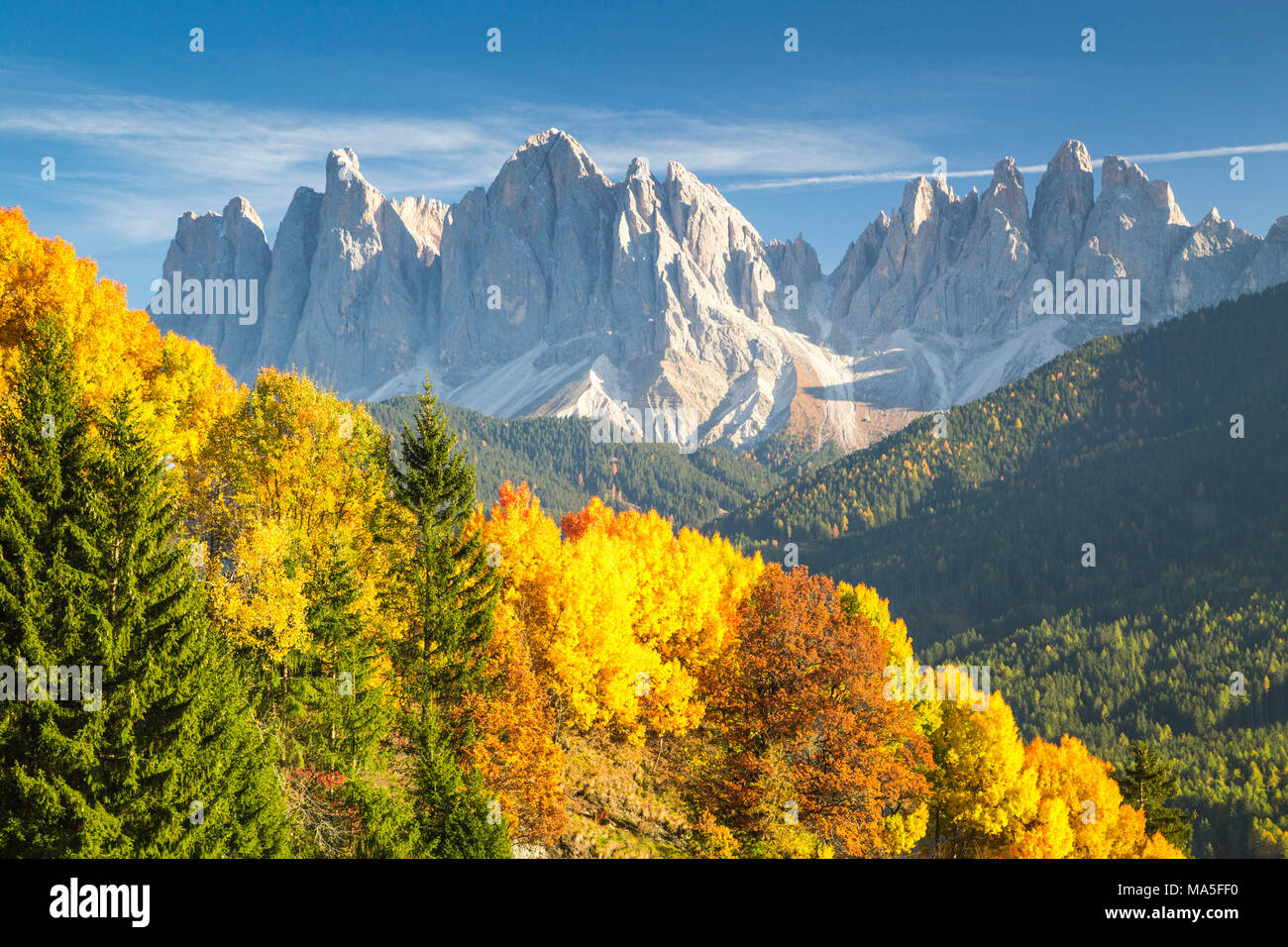 Geisler Berge und bunte Bäume. Funes Tal, Provinz Bozen, Trentino-Südtirol, Italien Stockfoto