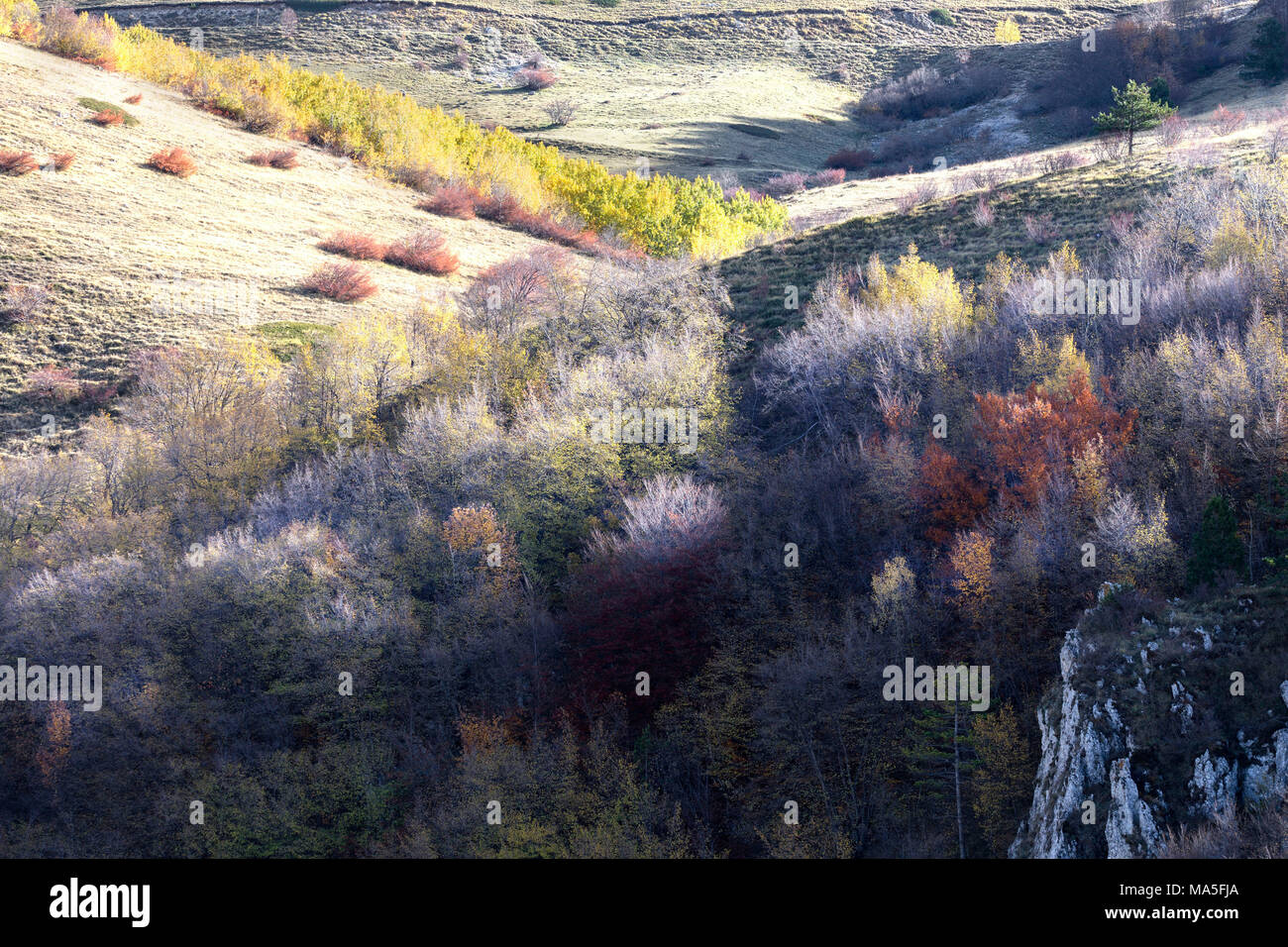 Die Herbstfarben im Nationalpark Gran Sasso, Fonte Cerreto Dorf, L'Aquila, Abruzzen, Italien Stockfoto
