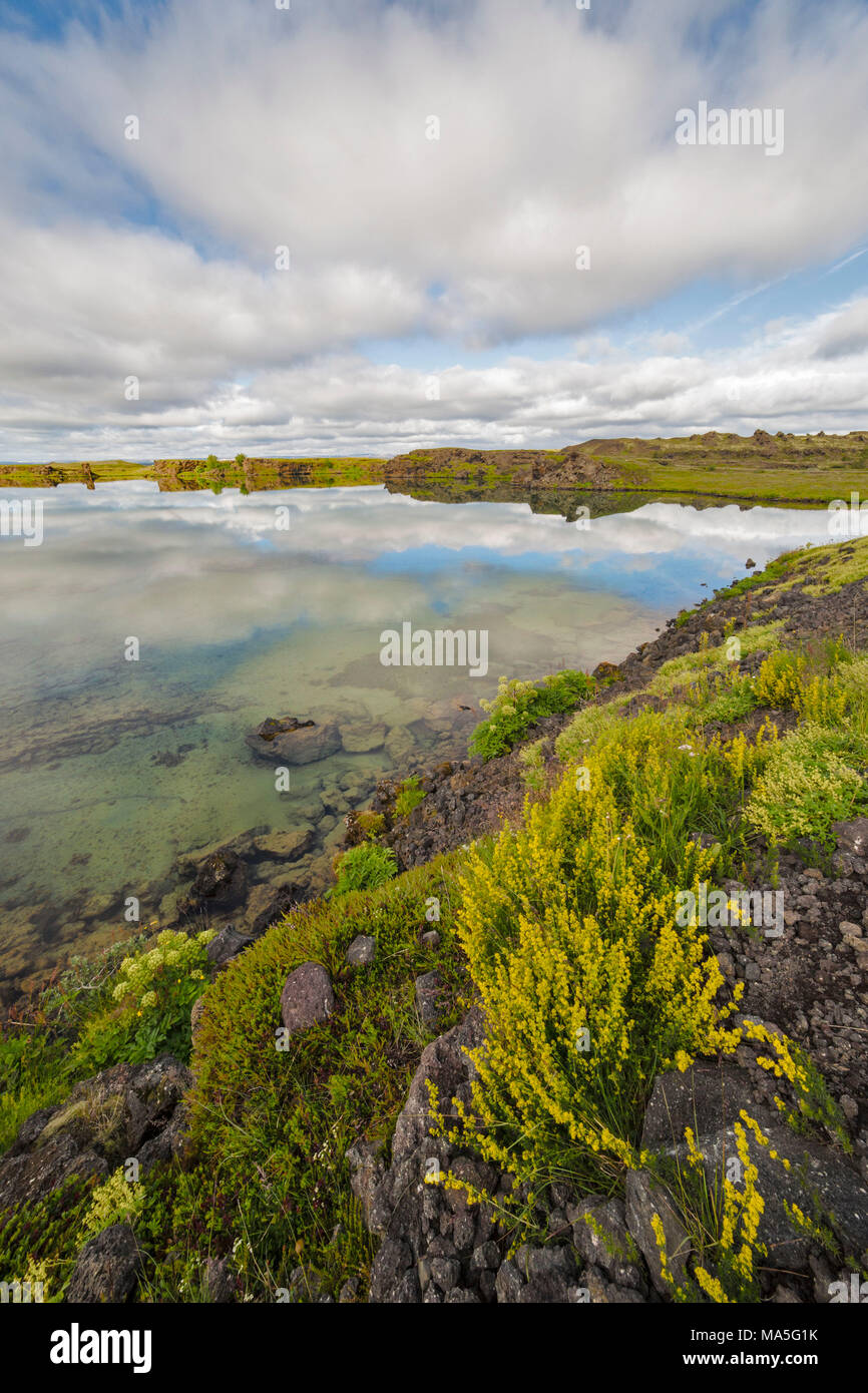 Wasser Reflexionen im Osten von Island, Austurland, Iceland Stockfoto