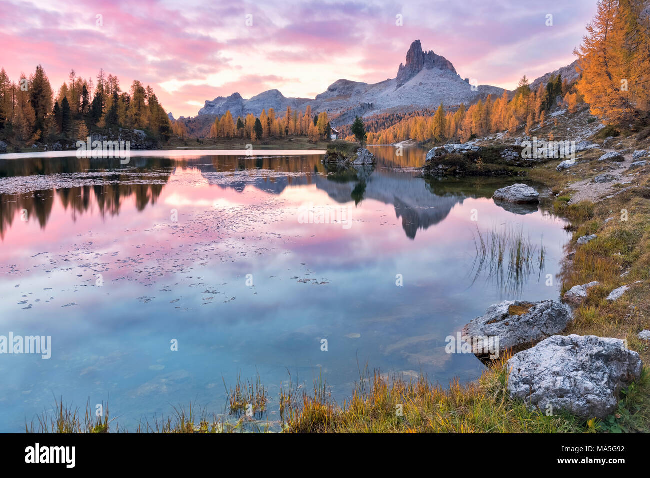 Bunte sunrise bei Federa See im Herbst mit gelben Lärchen um ihn herum, Cortina d Ampezzo, Belluno, Dolomiten, Venetien, Italien Stockfoto