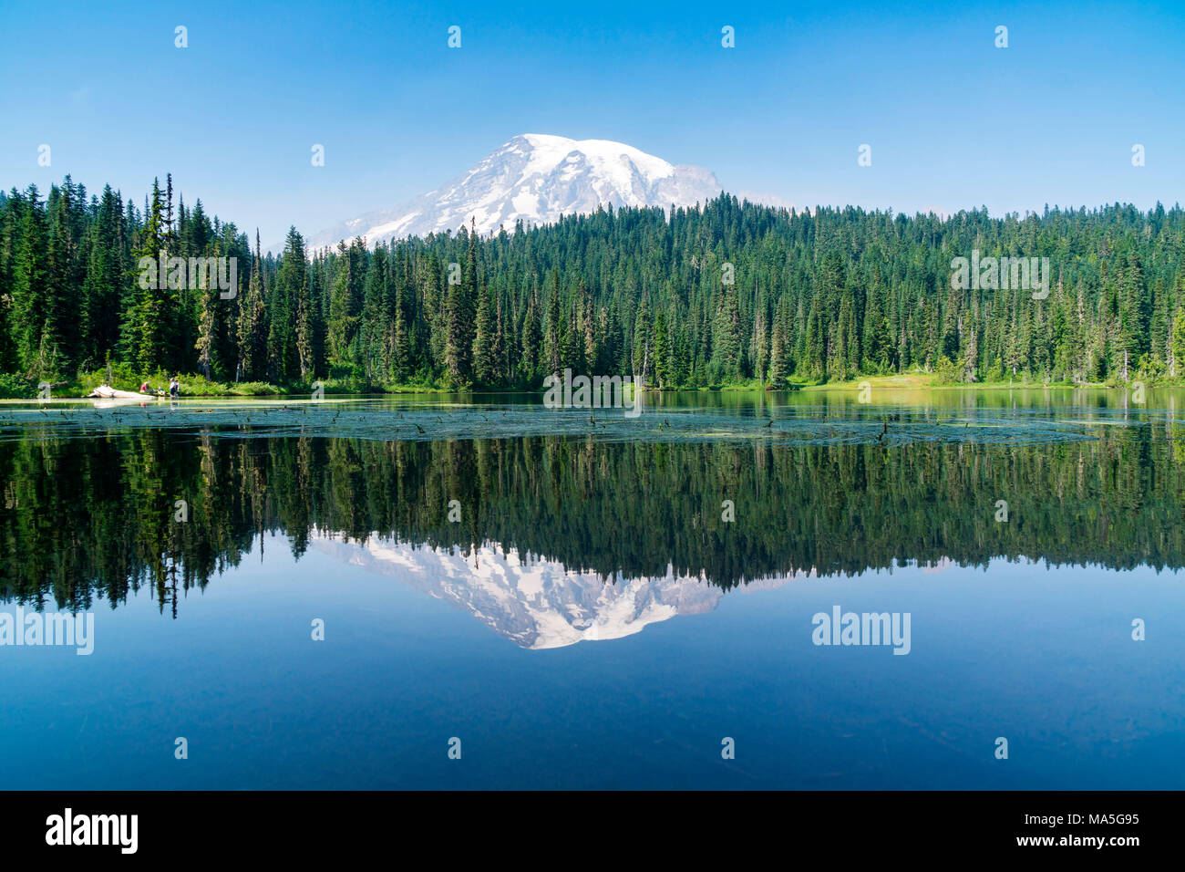 Mount Rainier aus der Reflexion Seen, Mount Rainier National Park, Seattle, Washington, USA Stockfoto