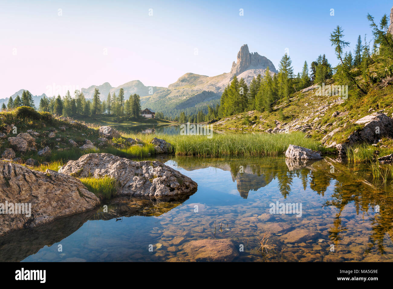 Natürliche Umgebung in der Nähe des Federa See im Sommer, Cortina d Ampezzo, Belluno, Dolomiten, Venetien, Italien Stockfoto