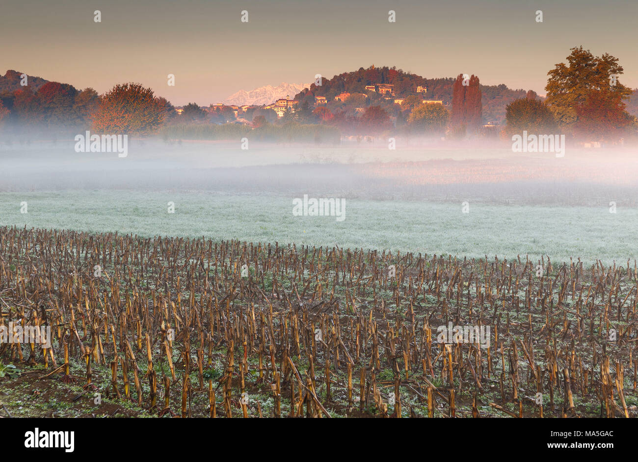 Herbst Sonnenaufgang in eine Kampagne, in der Provinz Como, Lombardei, Italien, Europa Stockfoto