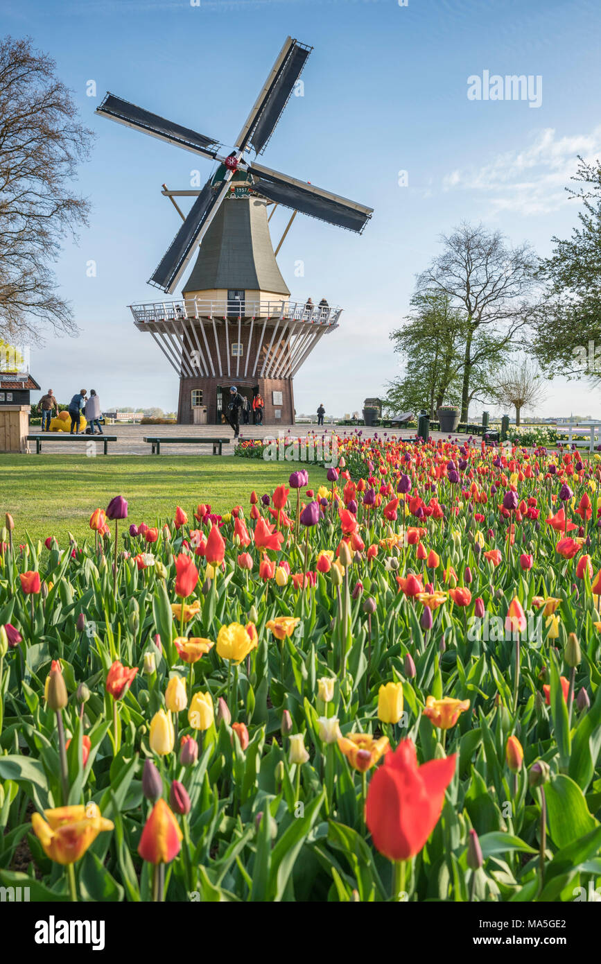 49+ Garten Holland, Wanneer is keukenhof open in 2026?