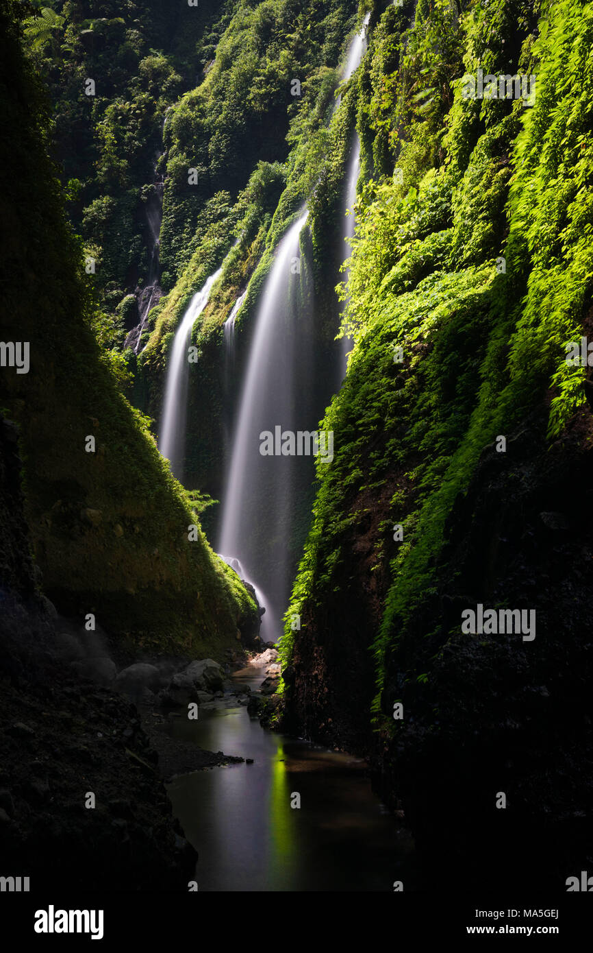 Madakaripura Wasserfall in Bromo, Giava Insel Stockfoto