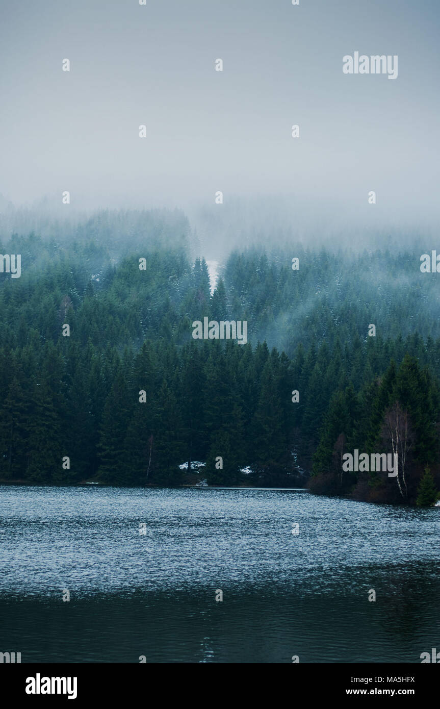 See im Nationalpark Harz, Wolken, Nebel, Querformat, Winter Stockfoto