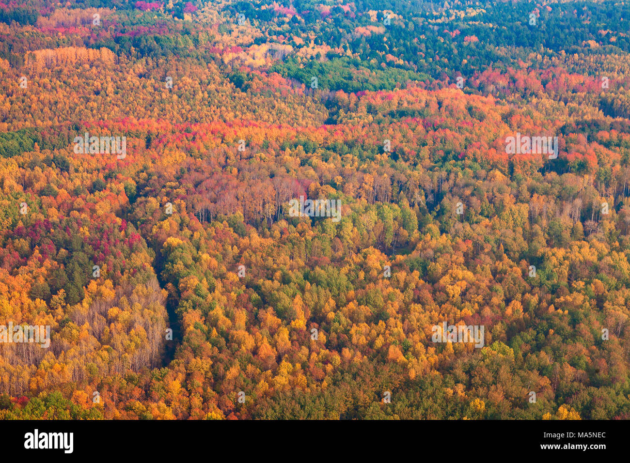 Draufsicht Perspektive der Herbst Wald und Fluss Stockfoto