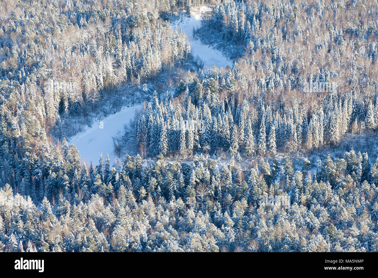Wald-Fluss in kalten Wintertag, Ansicht von oben Stockfoto