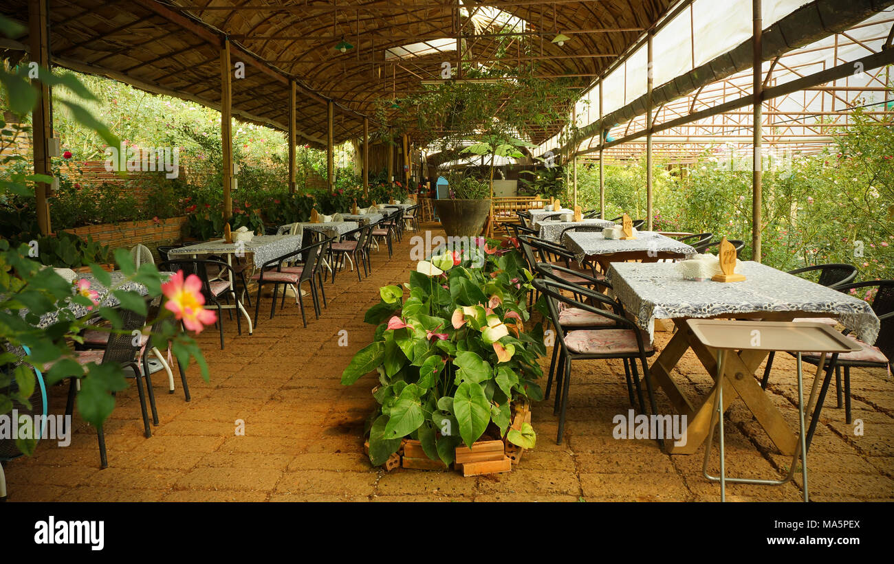 Café im Freien Tisch im Garten und Blumen Garten mit Rosen im Garten im Hinterhof Stockfoto