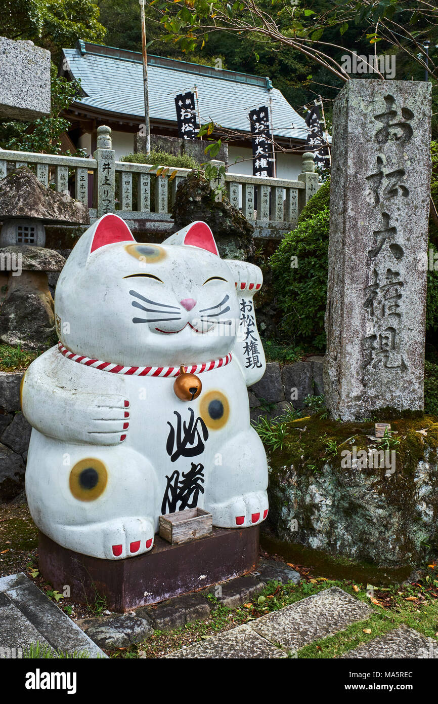 Japon, Tokio, Tempel sanctuaire dédié aux Chats//Japan, Tokio, Cat Tempel Stockfoto
