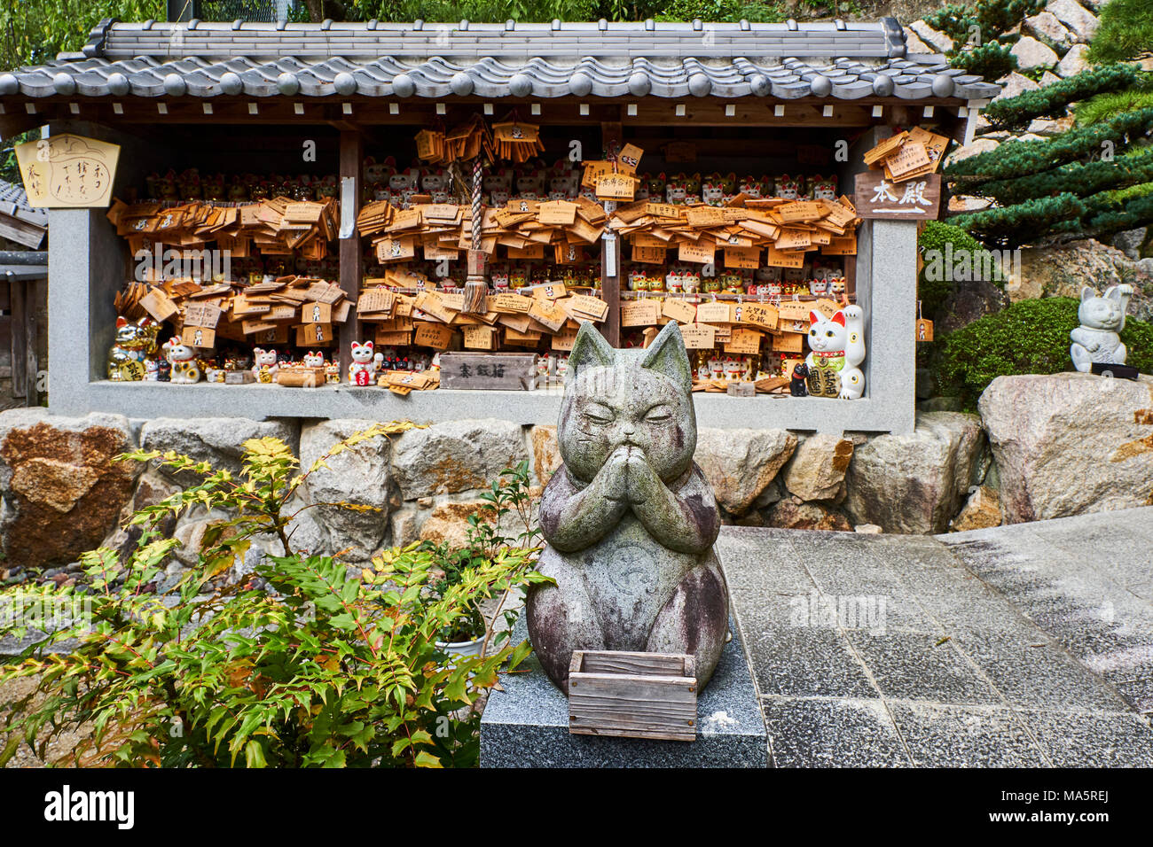 Japon, Tokio, Tempel sanctuaire dédié aux Chats//Japan, Tokio, Cat Tempel Stockfoto
