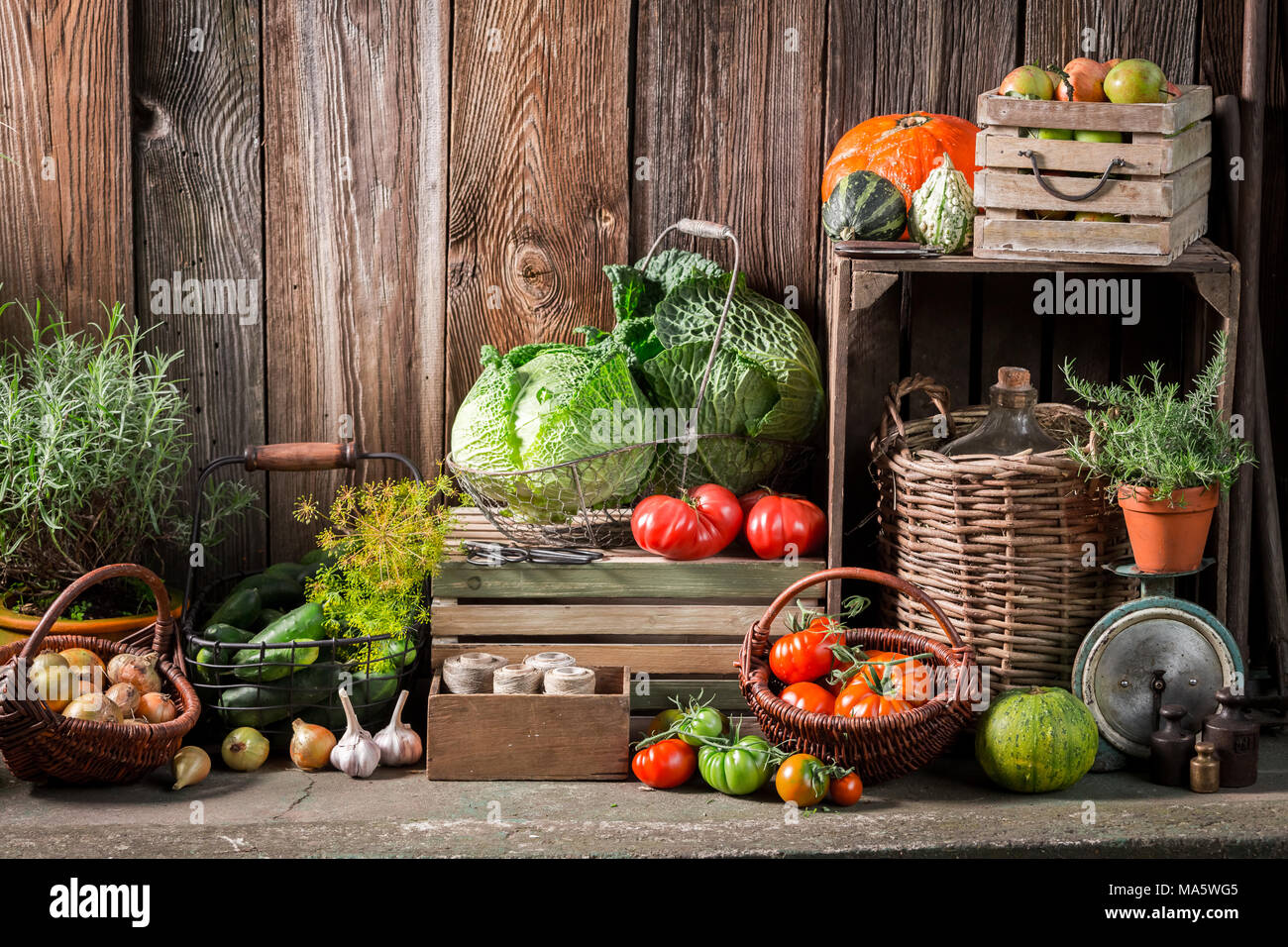 Garten mit geernteten Gemüse und Früchte im Herbst Stockfoto