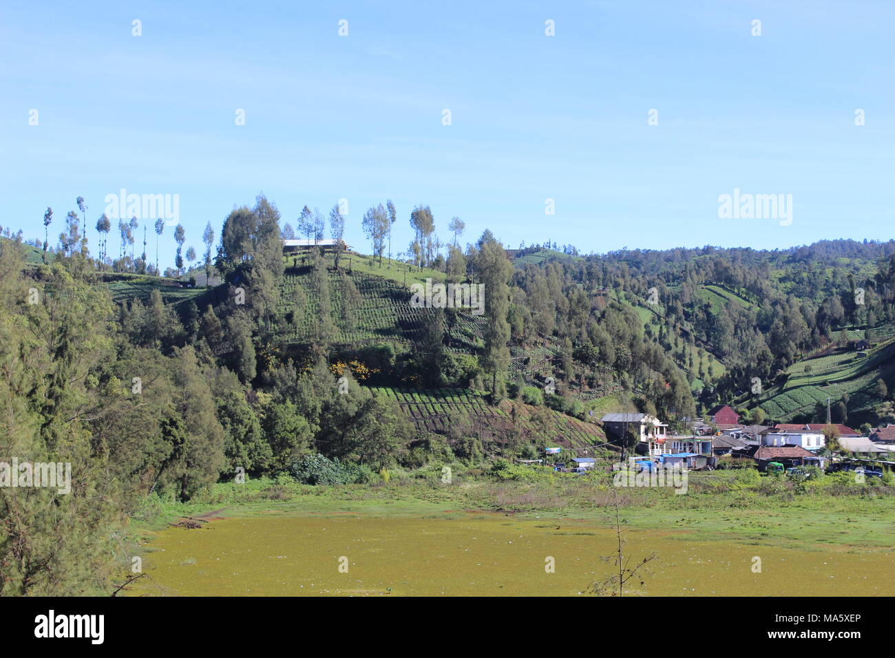 Am Morgen herrscht im Bromo Tengger Semeru National Park Lumajang, Ost-Java, Indonesien eine Atmosphäre von Ranu Pani und Ranu Gummolo Stockfoto