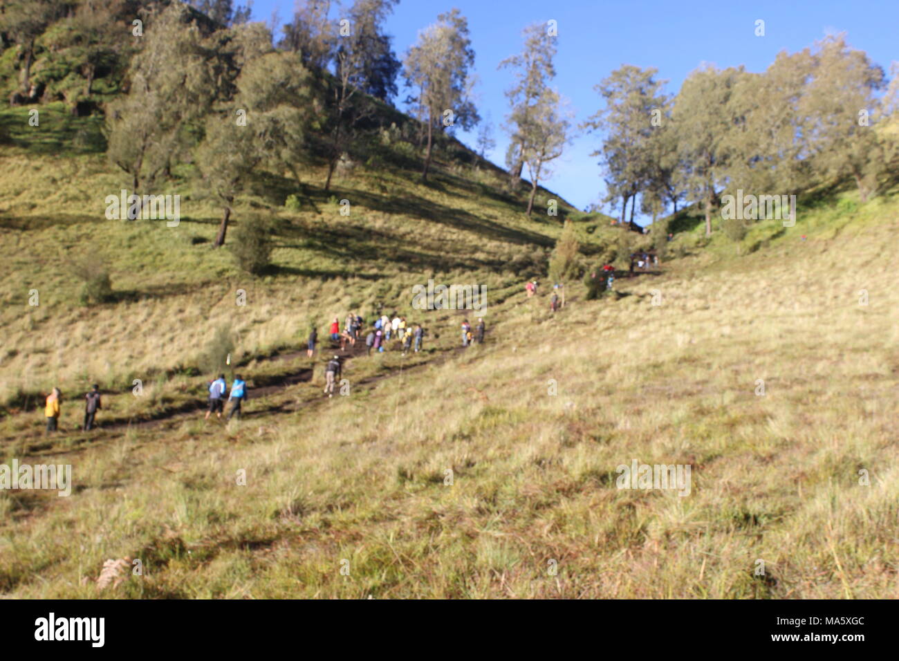 Am Morgen herrscht im Bromo Tengger Semeru National Park Lumajang, Ost-Java, Indonesien eine Atmosphäre von Ranu Pani und Ranu Gummolo Stockfoto