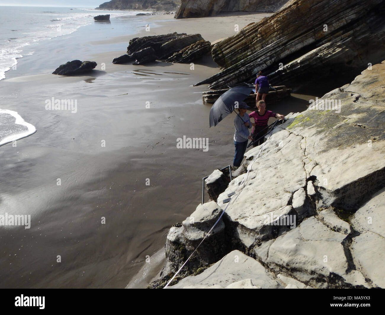 Transects Stockfotos Und Bilder Kaufen Alamy