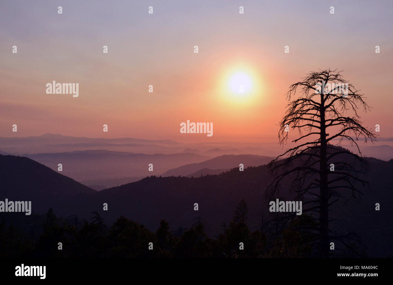 Sonnenuntergang in den San Jacinto Bergen in der Nähe von Idyllwild, CA. Die San Jacinto Berge in San Bernardino National Forest bieten Lebensraum für viele Tierarten einschließlich der gefährdeten Mountain yellow-legged Frog. Stockfoto